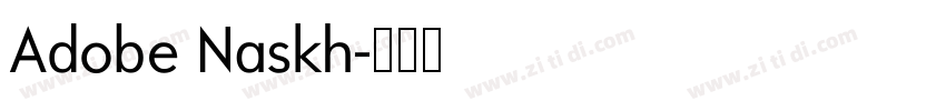 Adobe Naskh字体转换